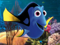                                                                     Dory Crush  קחשמ