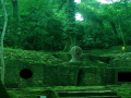                                                                     Abandoned Mayan Forest Escape קחשמ
