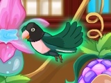                                                                     My Sweet Bird קחשמ