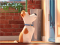                                                                       Hidden Letters in The Secret Life of Pets ליּפש