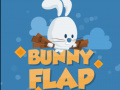                                                                     Bunny Flap קחשמ
