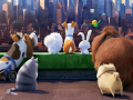                                                                     The Secret Life Of Pets Find Objects קחשמ