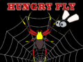                                                                     Hungry fly קחשמ