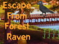                                                                     Escape from Forest Raven קחשמ