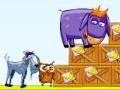                                                                     Donkey Sean קחשמ