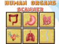                                                                       Human Organs Scanner ליּפש