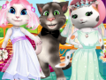                                                                     White Kittens Bride Contest קחשמ
