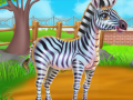                                                                     Zebra Caring קחשמ