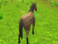                                                                     Horse Simulator 3D קחשמ