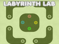                                                                     Labyrinth Lab קחשמ