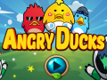                                                                     Angry Ducks קחשמ