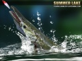                                                                     Summer Lake 1.5 קחשמ