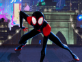                                                                       Spiderman into the spiderverse Masked missions ליּפש