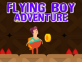                                                                     Flying Boy Adventure קחשמ