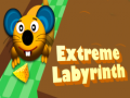                                                                       Extreme Labyrinth ליּפש