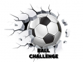                                                                     Ball Challenge קחשמ