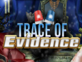                                                                     Trace of Evidence קחשמ