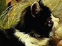                                                                     Hidden numbers קחשמ