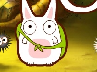                                                                     Color rabbit קחשמ