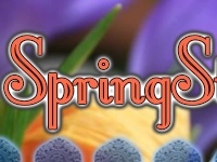                                                                     Hidden stones קחשמ