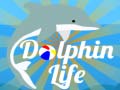                                                                       Dolphin Life ליּפש