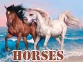                                                                     Horses קחשמ