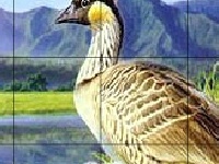                                                                     Ducks and rainbow קחשמ