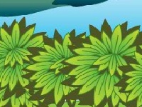                                                                     Camp defence קחשמ