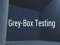                                                                     Grey-Box Testing קחשמ