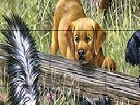                                                                     Hungry friends קחשמ