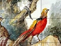                                                                     Birds in the wood קחשמ