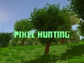                                                                       Pixel Hunting ליּפש
