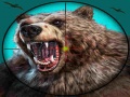                                                                       Wild Bear Hunting ליּפש