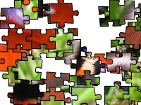                                                                     Flapping butterfly קחשמ