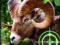                                                                       Crazy Goat Hunter 2020 ליּפש