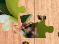                                                                     Tasty olives קחשמ