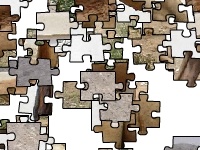                                                                     Dromedary camel קחשמ