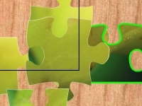                                                                     Juicy fruits קחשמ