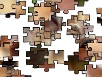                                                                     Fallow deer קחשמ