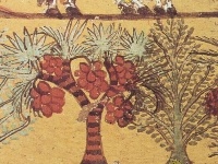                                                                     Mummy revenge קחשמ