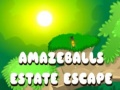                                                                     Amazeballs Estate Escape קחשמ