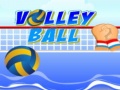                                                                     Volley ball קחשמ