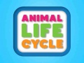                                                                     Animal Life Cycle קחשמ