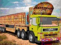                                                                     Truck Driver Cargo קחשמ