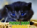                                                                     Funny Baby Animals קחשמ