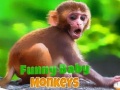                                                                     Funny Baby Monkey קחשמ