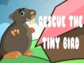                                                                       Rescue The Tiny Bird ליּפש