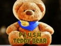                                                                     Plush Teddy Bear קחשמ