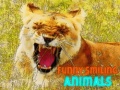                                                                     Funny Smiling Animals קחשמ
