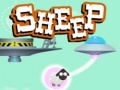                                                                     Sheep קחשמ